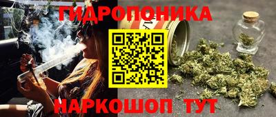 ГАЛЛЮЦИНОГЕННЫЕ ГРИБЫ Кулебаки