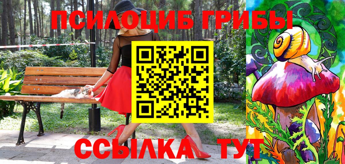 Галлюциногенные грибы MAGIC MUSHROOMS Губаха