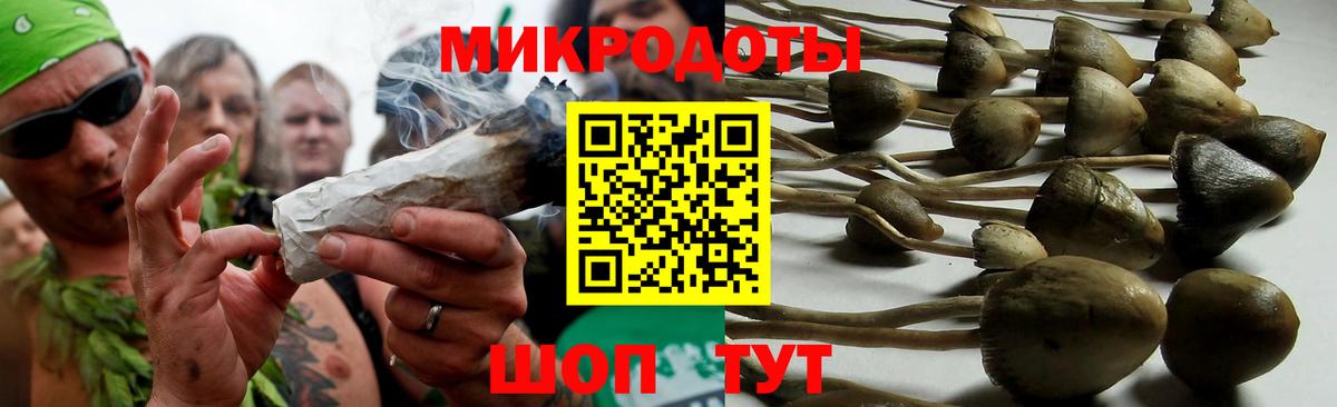 Галлюциногенные грибы прущие грибы  Вход с VPN  Псилоцибиновые грибы мухоморы  Губаха 